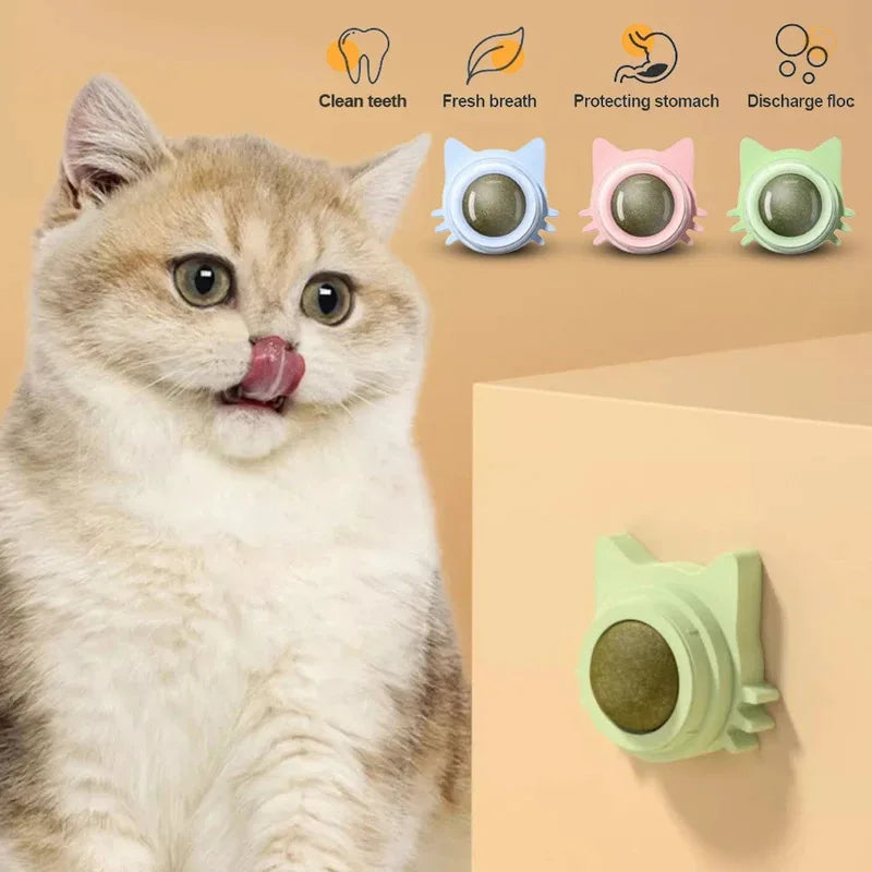 1PCS Catnip Lollipop Cat Treat Wall Design Dental Care Fresh Breath Cat Snacks Energy Ball Stomach Protection Pet Supplies