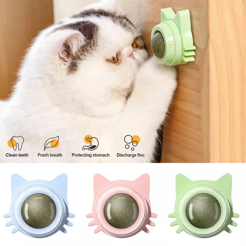 1PCS Catnip Lollipop Cat Treat Wall Design Dental Care Fresh Breath Cat Snacks Energy Ball Stomach Protection Pet Supplies